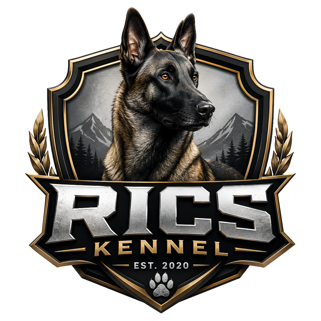 Logo Design